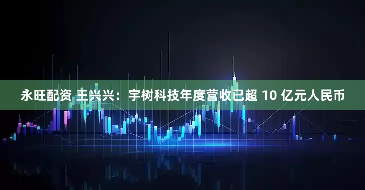 永旺配资 王兴兴：宇树科技年度营收已超 10 亿元人民币