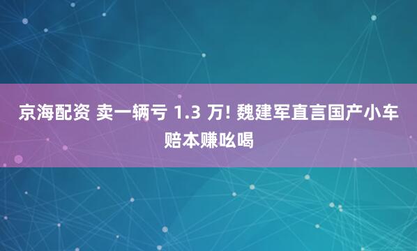 京海配资 卖一辆亏 1.3 万! 魏建军直言国产小车赔本赚吆喝
